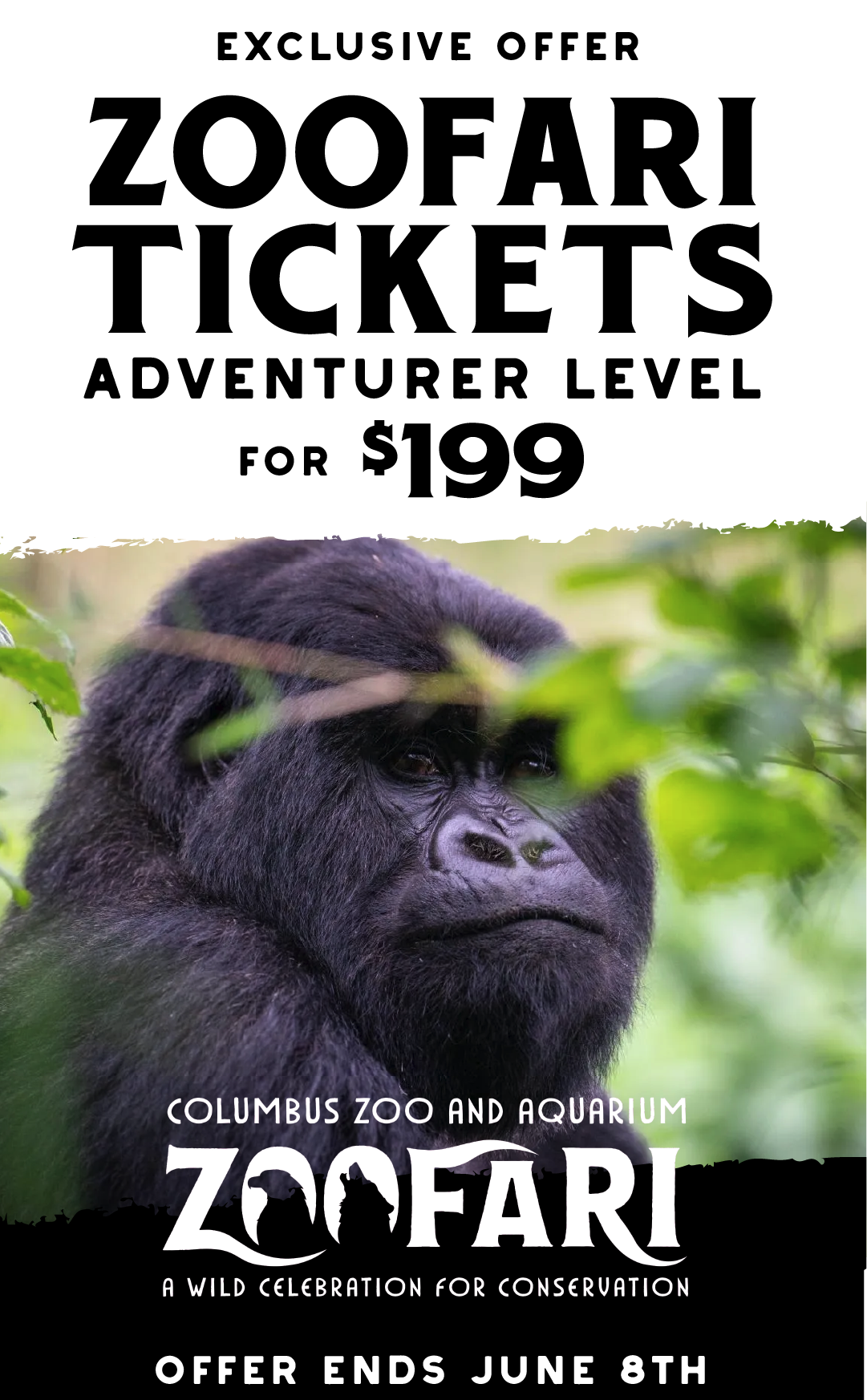 Discount Zoofari Tickets Columbus Zoo and Aquarium